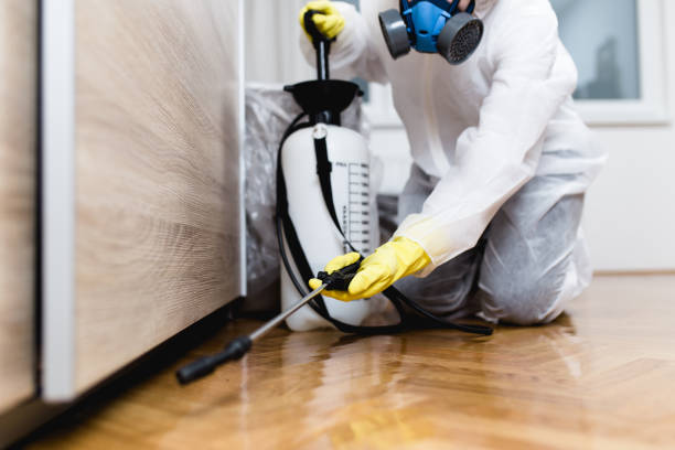 Best Best Pest Control Companies  in Cutlerville, MI