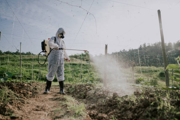 Best Local Pest Control Services  in Cutlerville, MI