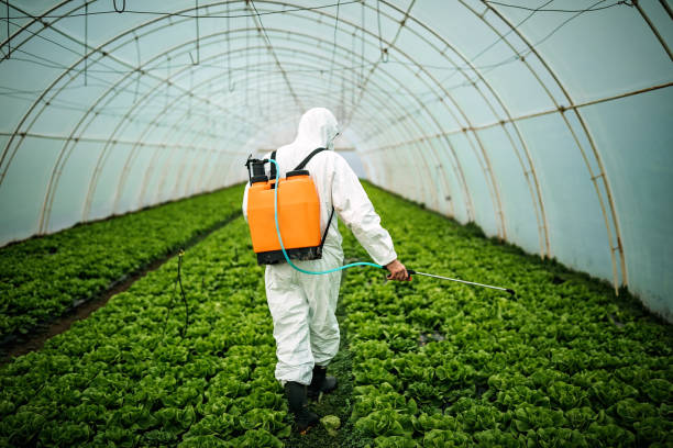 Best Residential Pest Control  in Cutlerville, MI