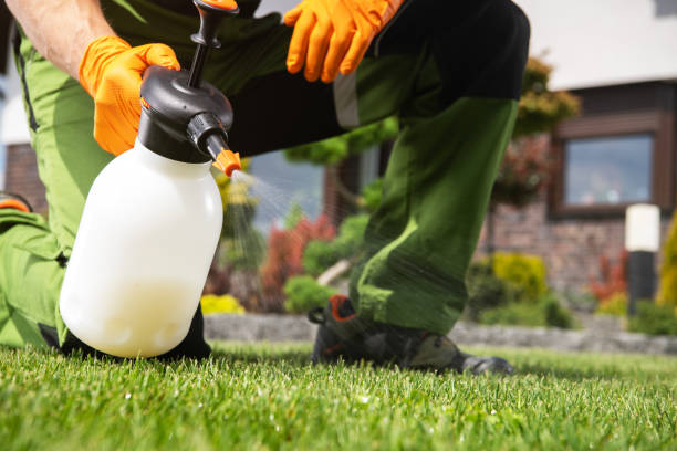 Best Pest Inspection Near Me  in Cutlerville, MI