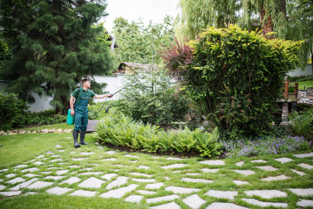 Best Pest Removal Services  in Cutlerville, MI