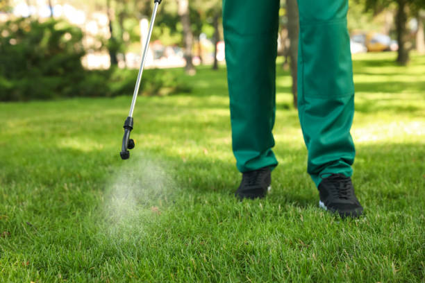 Best Insect Control  in Cutlerville, MI
