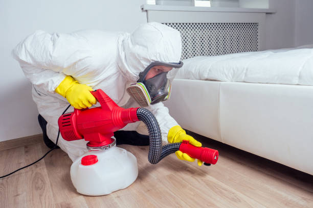 Best Exterminator Services  in Cutlerville, MI