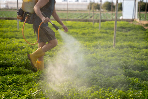 Best Exterminator Services  in Cutlerville, MI