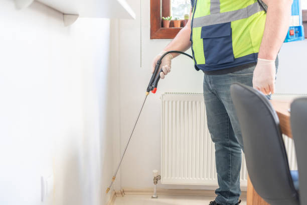 Best Residential Pest Control  in Cutlerville, MI