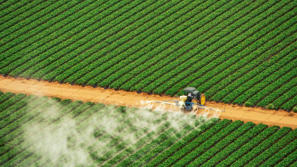 Pest Prevention Services in Cutlerville, MI