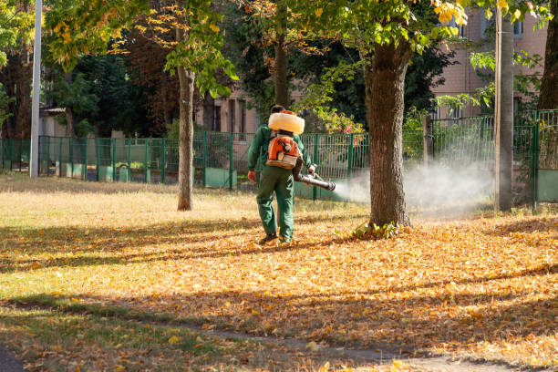 Best Affordable Pest Control Services  in Cutlerville, MI