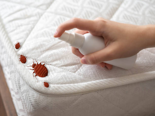 Best Commercial Pest Control Services  in Cutlerville, MI