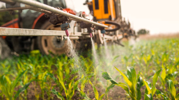 Pest Prevention Services in Cutlerville, MI